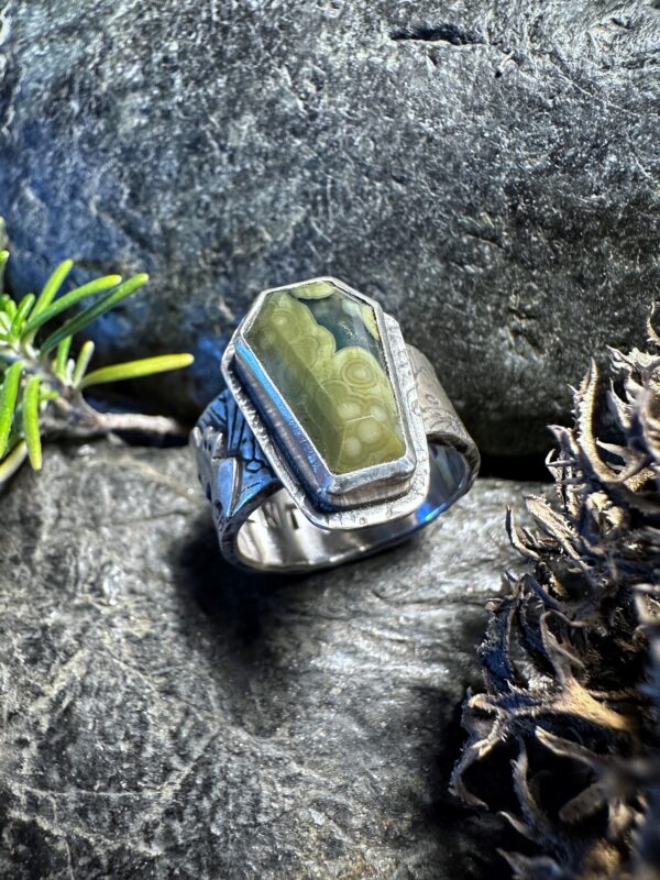 Unisex-Ring mit einem Ozean Jaspis in Sargform und Pilzen sowie einer Fledermaus auf der Ringschiene